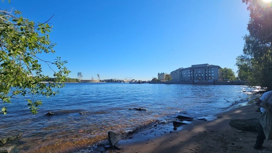 Автор фото: t.me/zarosli_place