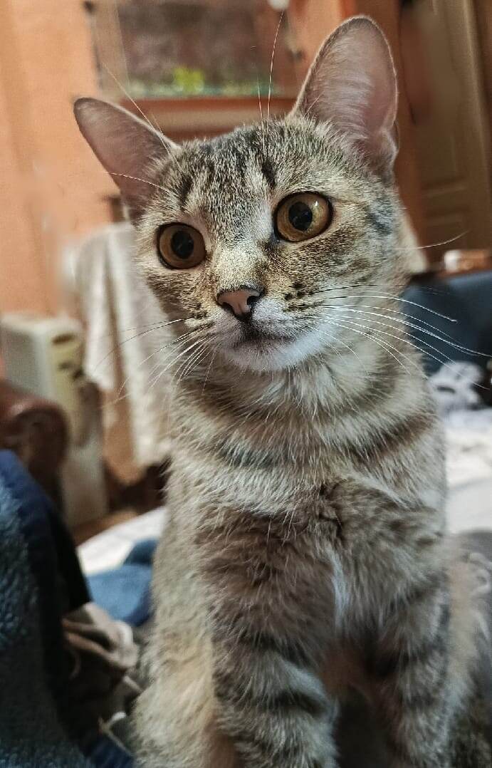 Я точно Рина (Октябрина)? Вы точно так решили? Больше нет идей, как меня назвать? А?