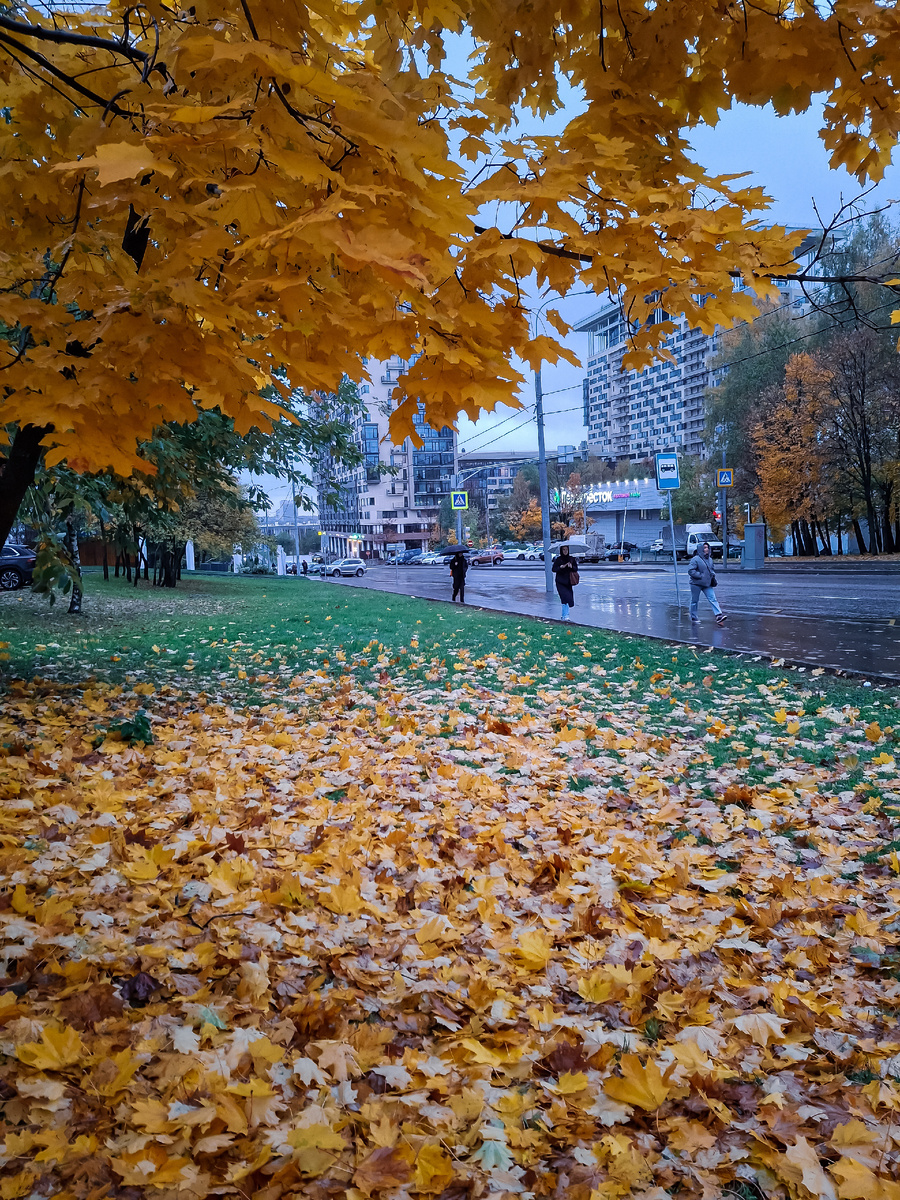 Осень, октябрь