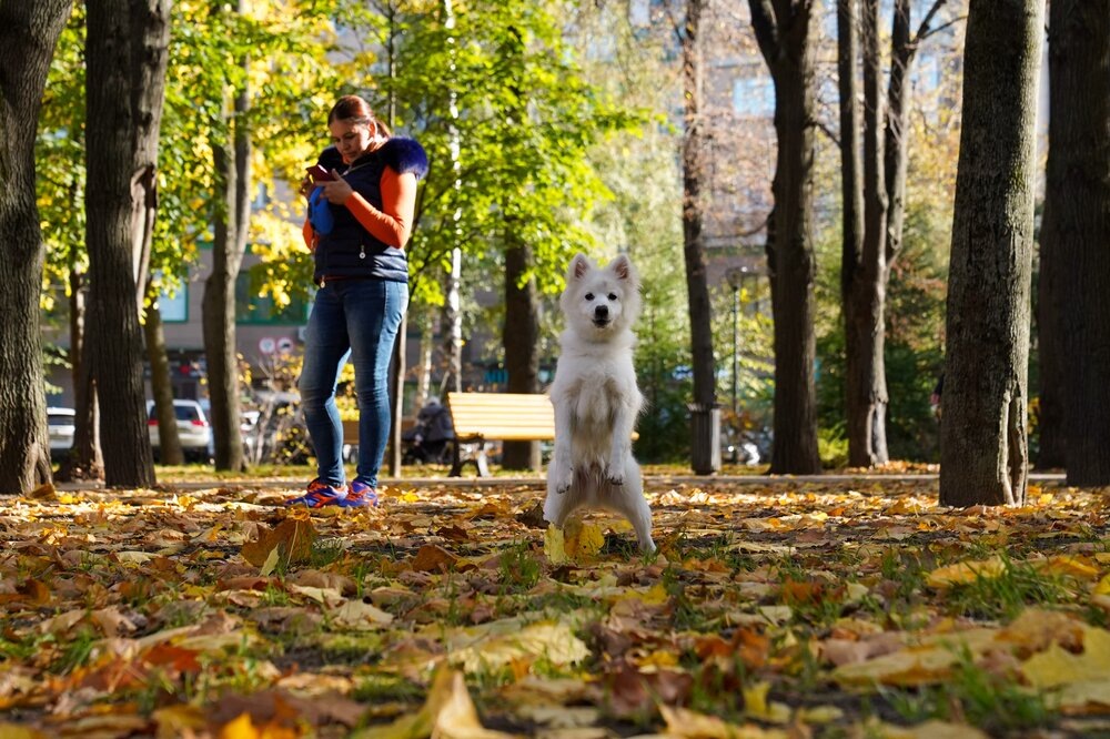    ©Агентство городских новостей "Москва"