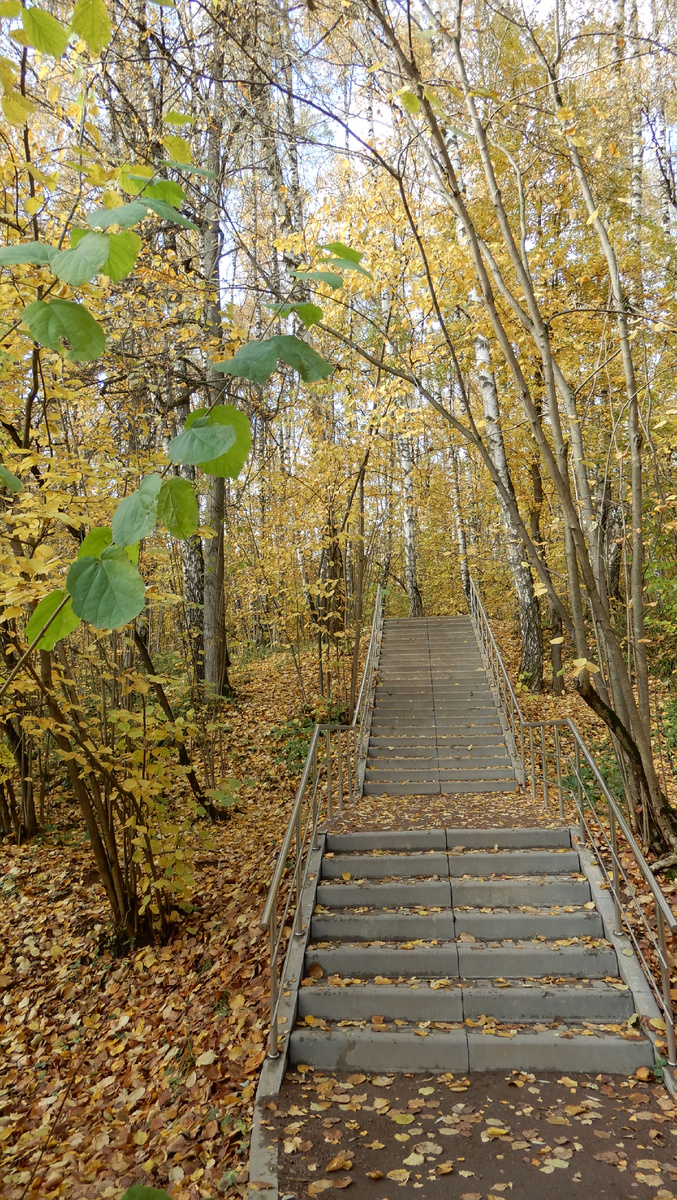 Голубинский лесопарк 11,10,2025 г.