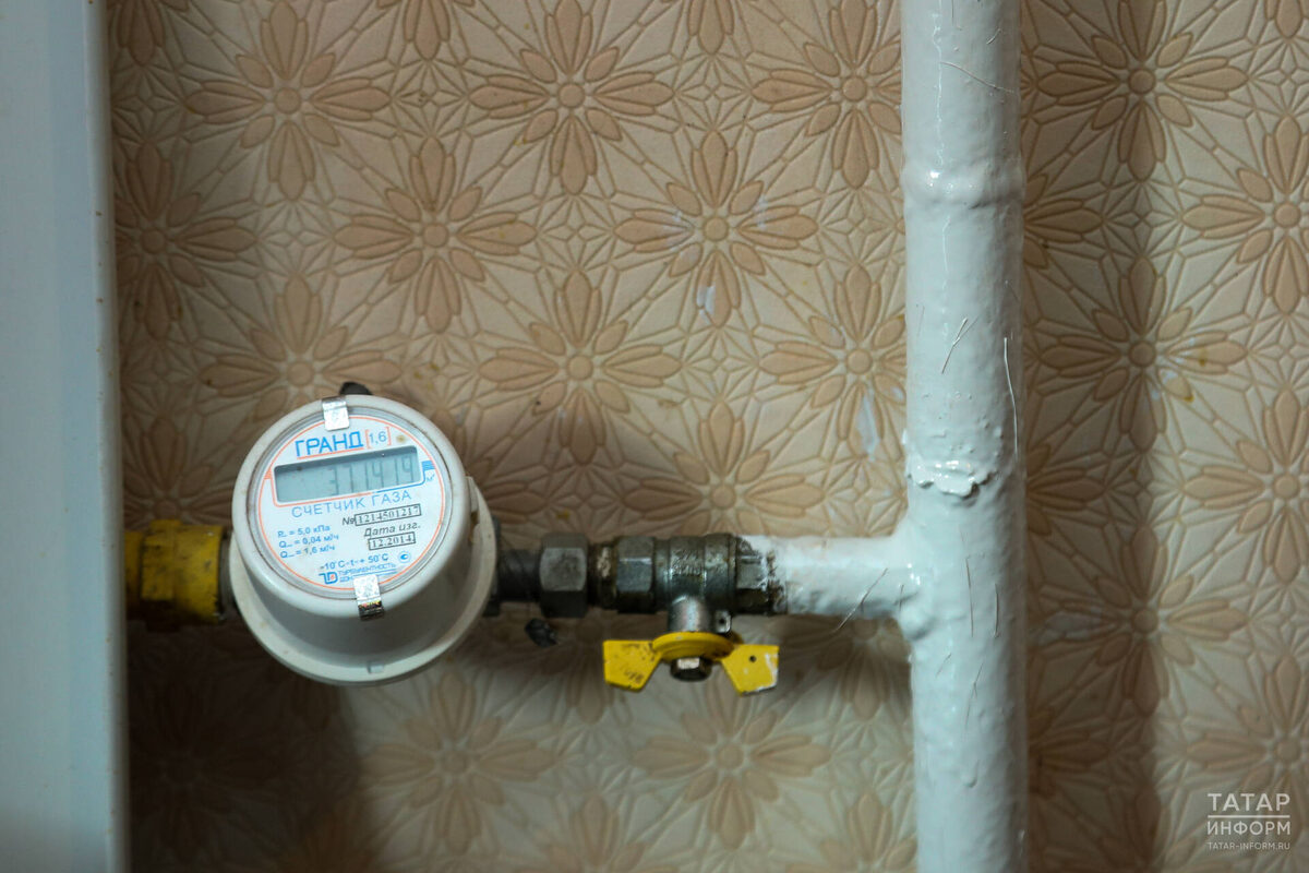 Фото: © Салават Камалетдинов / «Татар-информ»