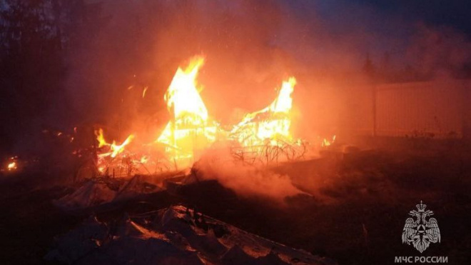 Фото: ГУ МЧС России по Ленинградской области