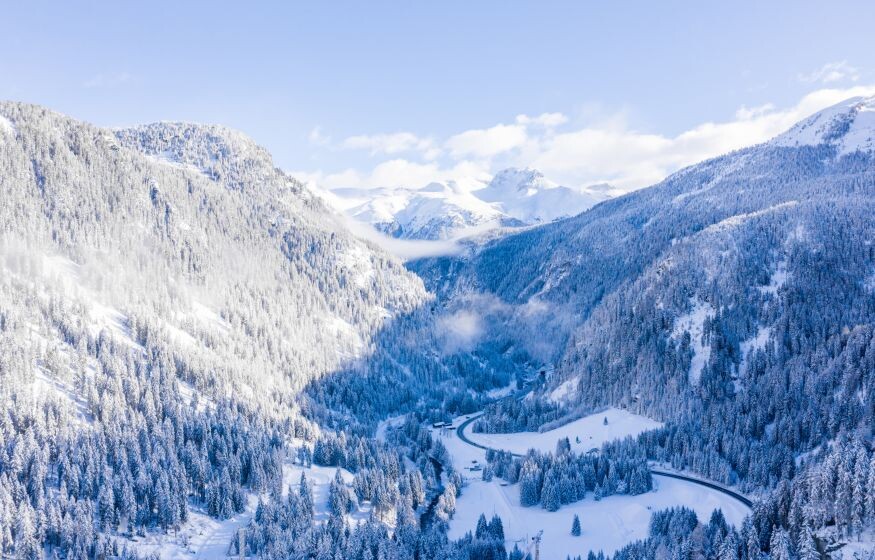    Исчезли без следа: семья с ребёнком и корги — тайна семьи Усольцевых на горе Буратинка