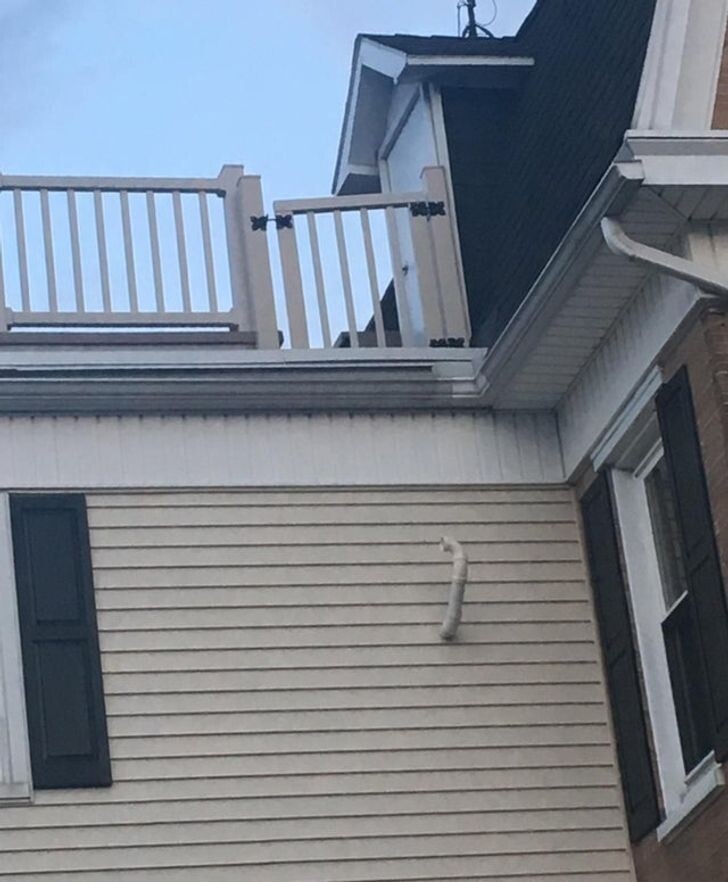 Фотография из свободных источников интернета