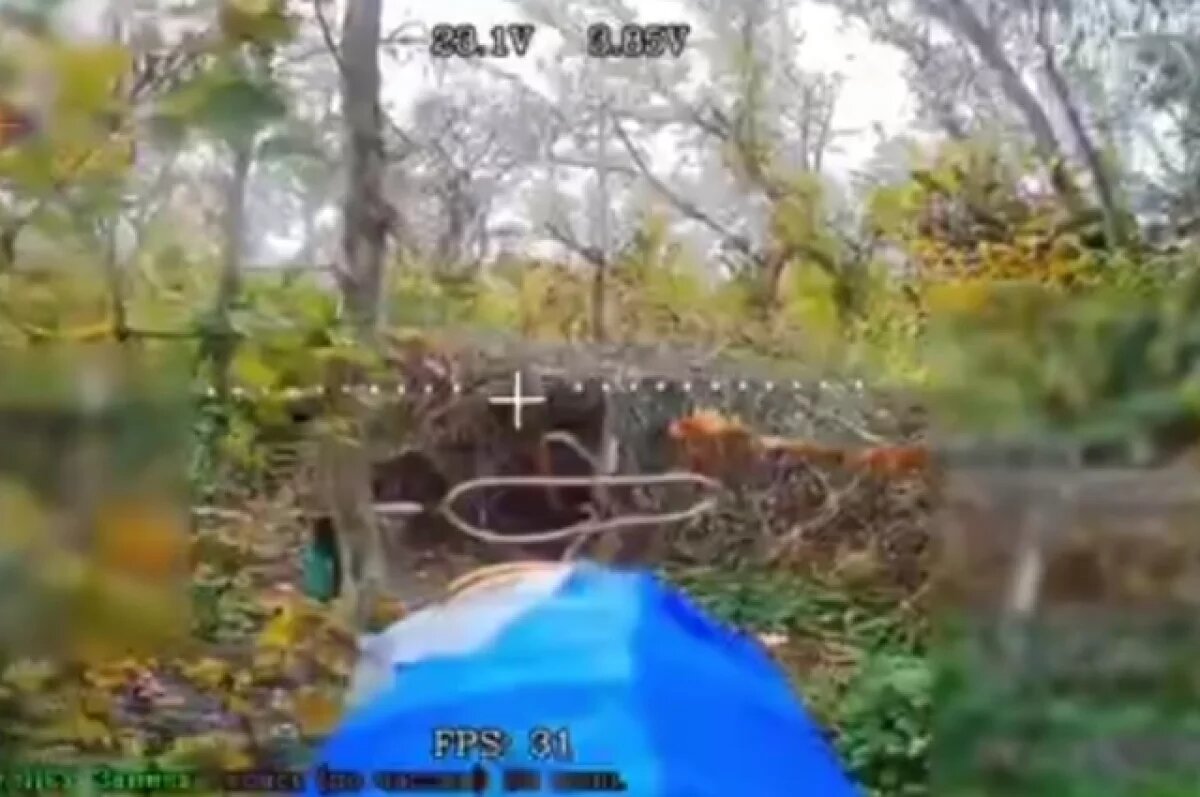    Кадыров показал кадры уничтожения укреплений ВСУ в Сумской области