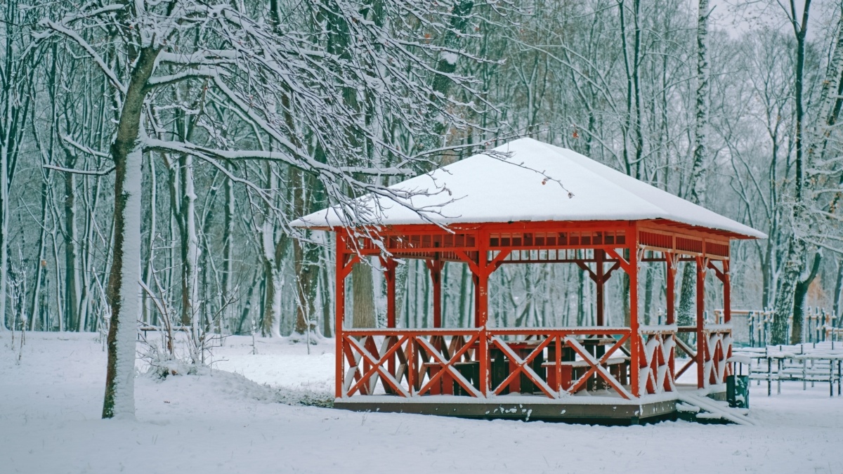 Светлана Мулыкина📷
