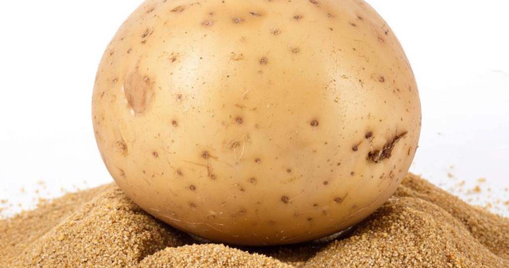 Картофельные очистки в компосте: тихая война на дачном участке