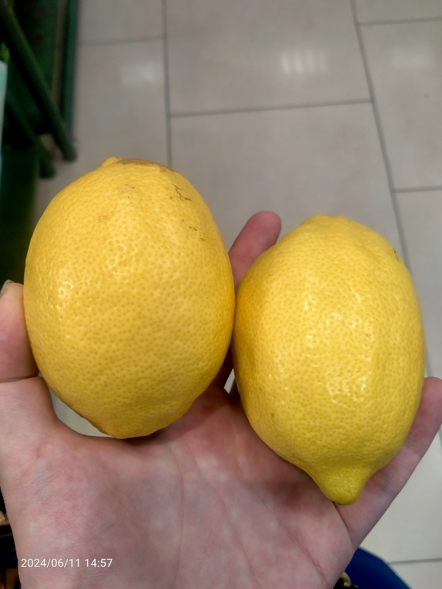 Фотография автора