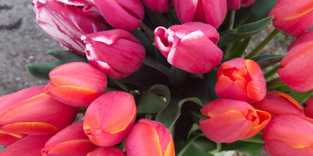 Чужие телефоны испортили всё удовольствие