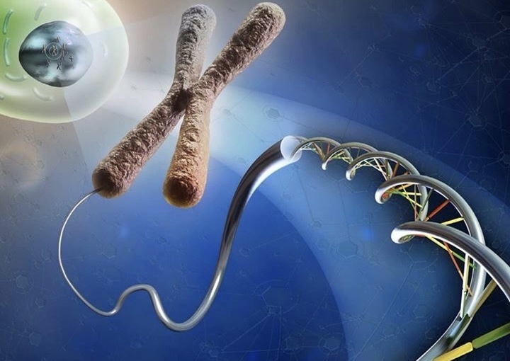 Источник: Pinterest