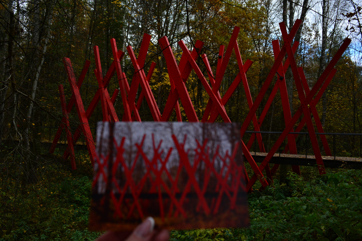 Кому открытку?