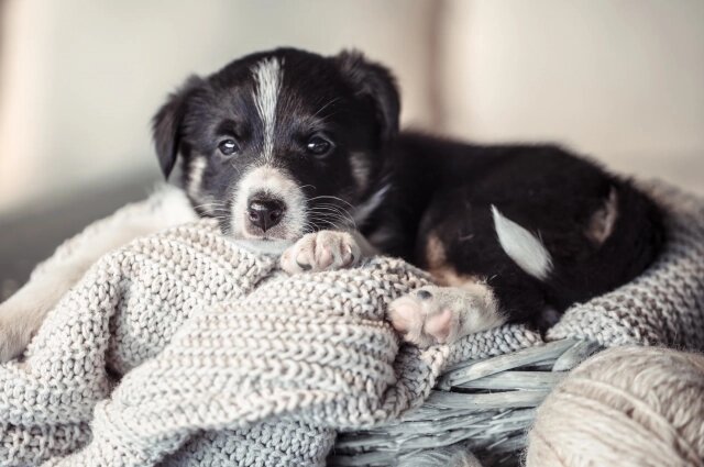    Фото: ru.freepik.com