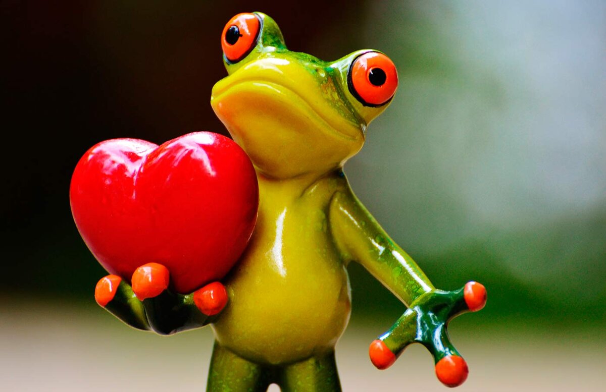 Что привлекает мужчин в женщинах больше всего? Фото: PxHere CC0