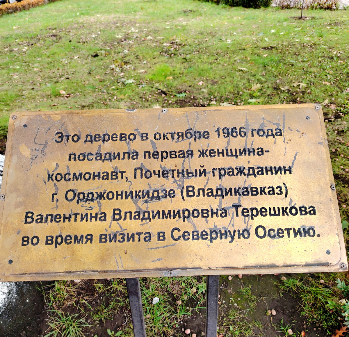 Дуб имеет статус "Памятника живой природы" 