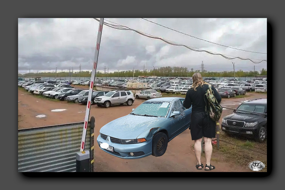 Коллаж автора