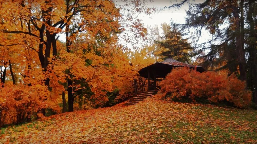    фото: Коллаж Царьграда