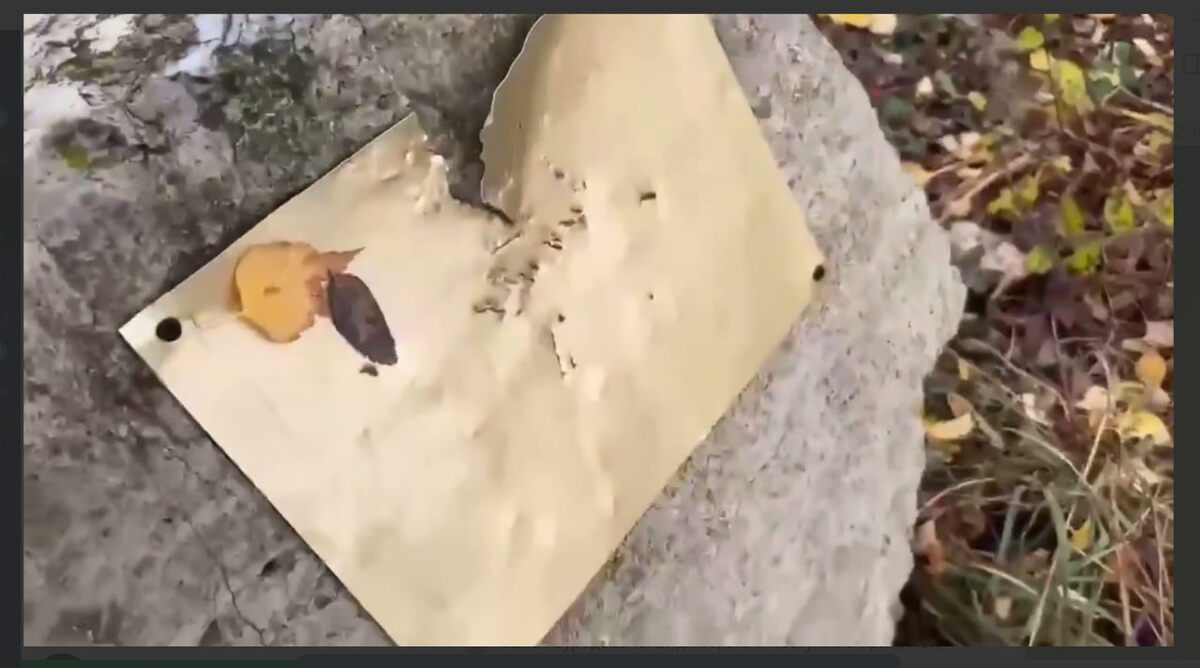    СКРИНШОТ: READOVKA/ТЕЛЕГРАМ