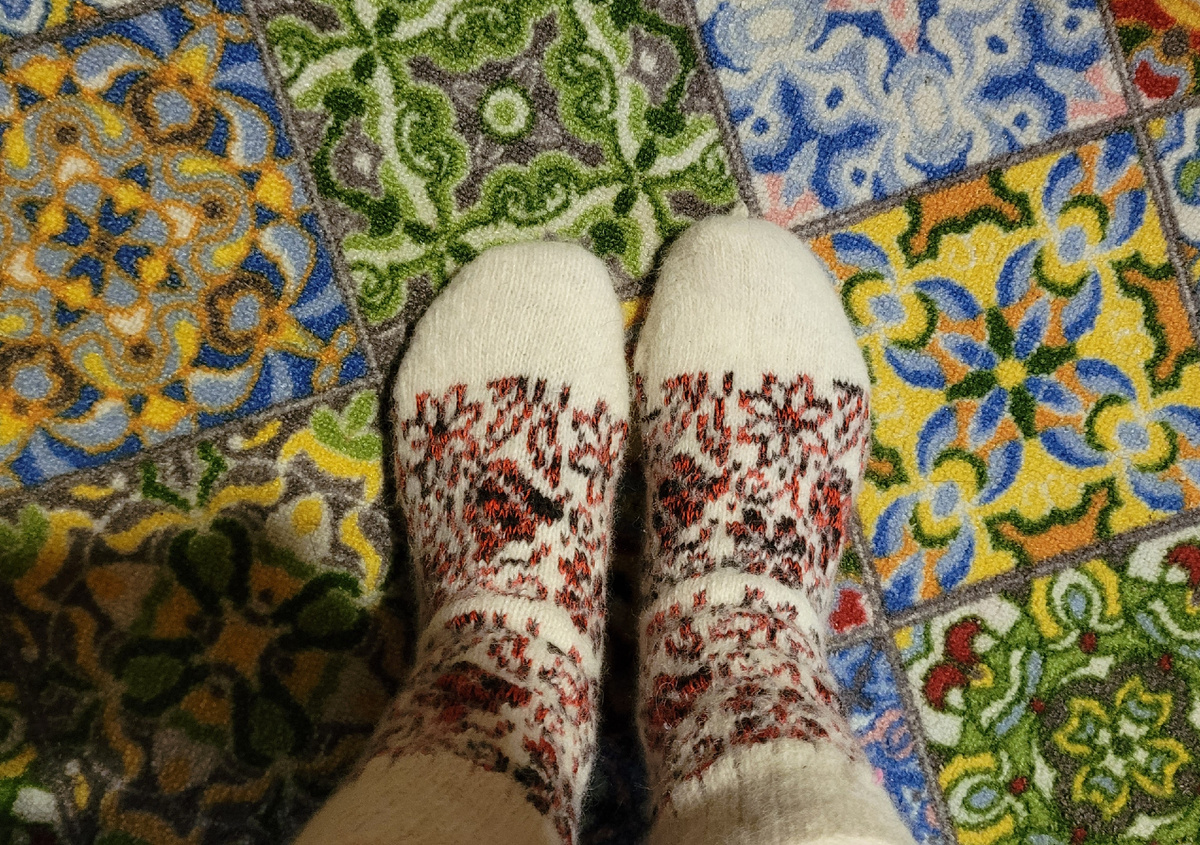 Я в носках, которые мне подарил читатель