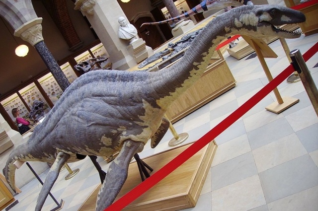    Фото: Commons.wikimedia.org