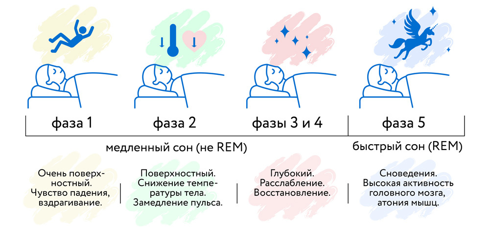 Фазы сна.