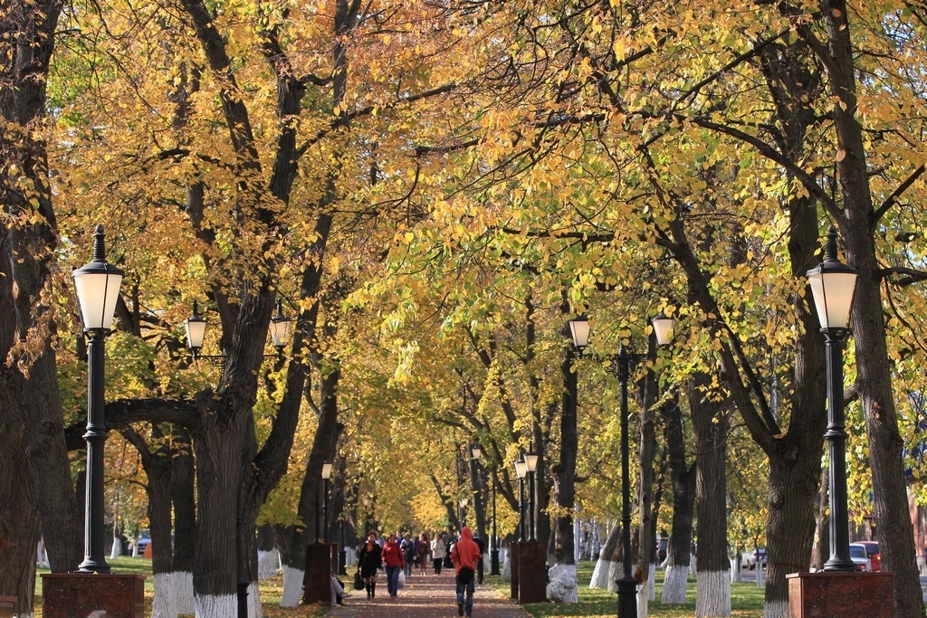 Изображение из открытых источников