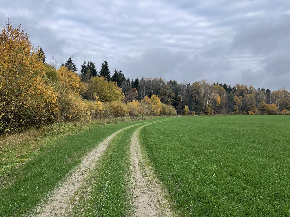По пути от Зеленоградского к Цернскому