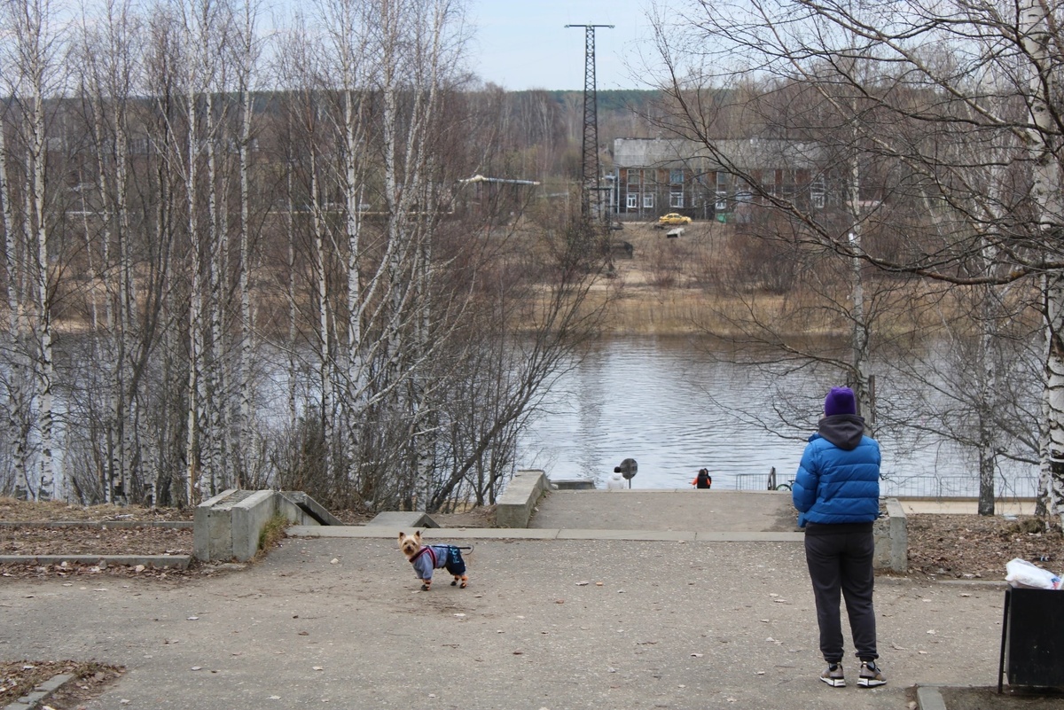    Лучше дома отсидимся: ветеринары назвали породы собак, с которыми не надо много гулять
