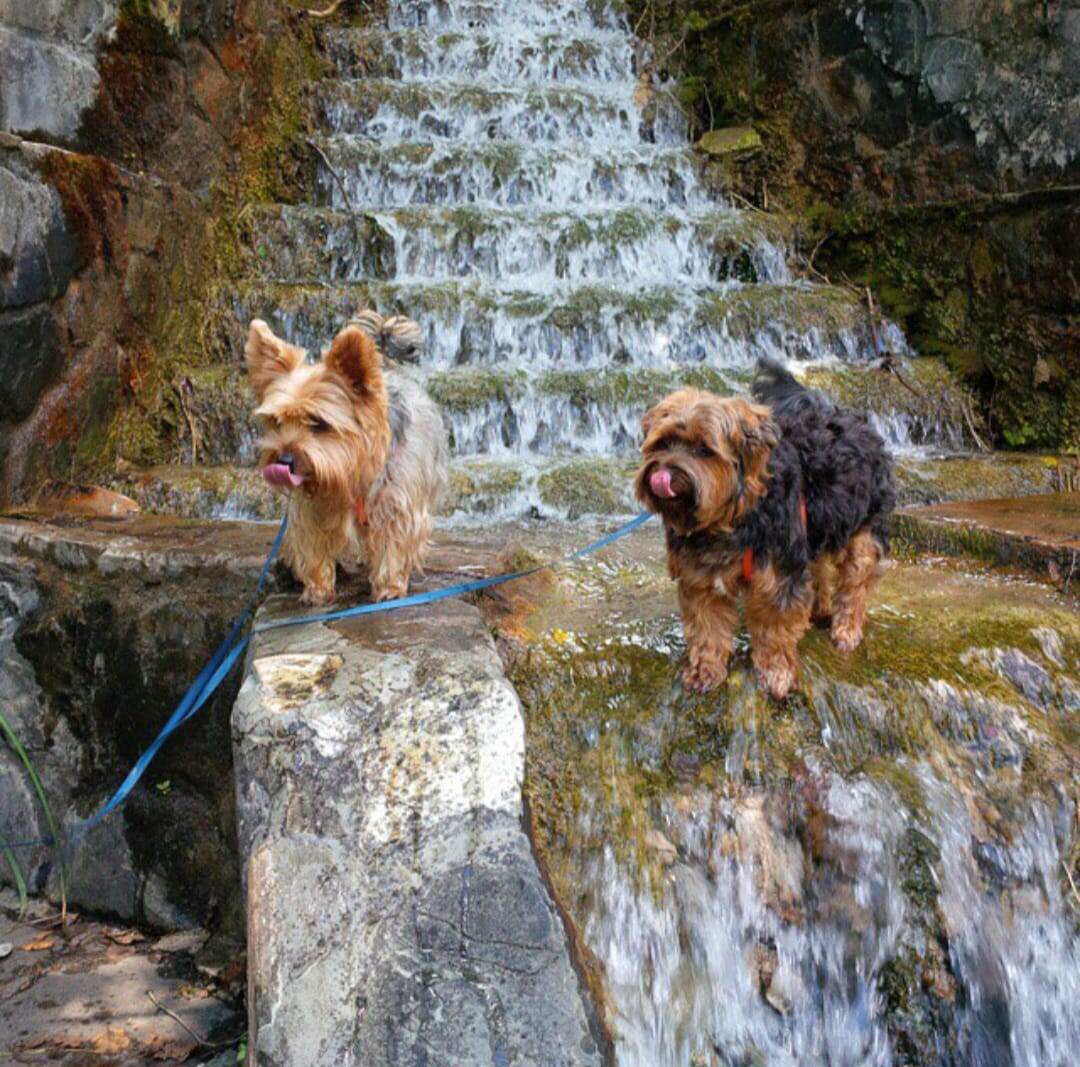 Водопад под Геленджиком. 