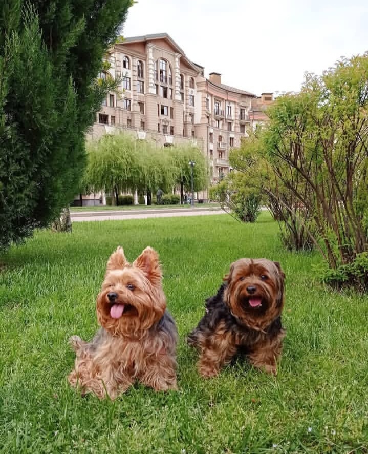 Курорт "Красная поляна".