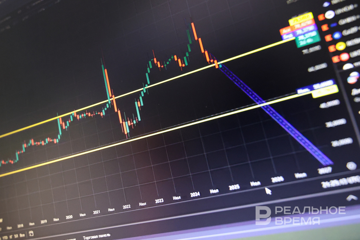   Артем Дергунов / realnoevremya.ru