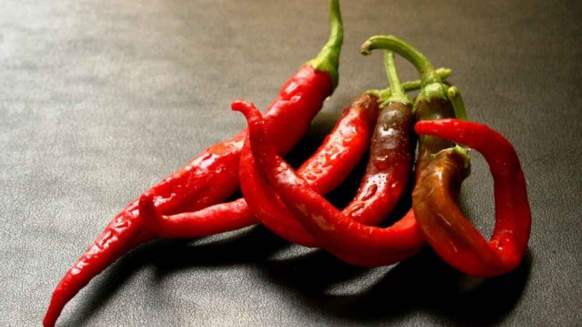 Фото: Robert J Daveant/Shutterstock.com
