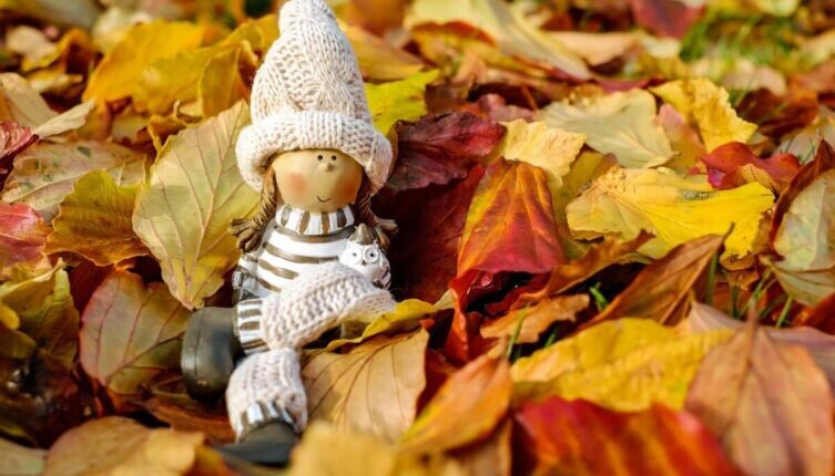    Тайна осеннего разноцветья: почему листья меняют цвет? Фото: по лицензии CC0 Pxhere.com