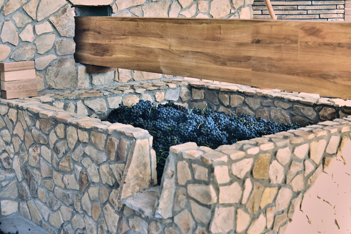 Предоставлено в пресс-службе компании Фанагория. 