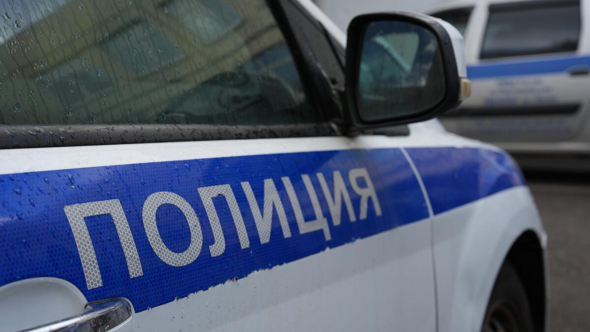    Фото: ИЗВЕСТИЯ/Дмитрий Коротаев