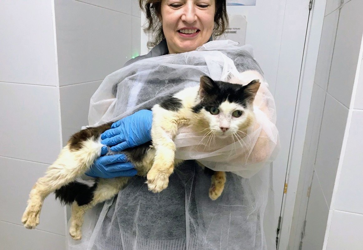 Очень ласковый, красивый и большой Дедушка с ВИК очень ищет хозяев