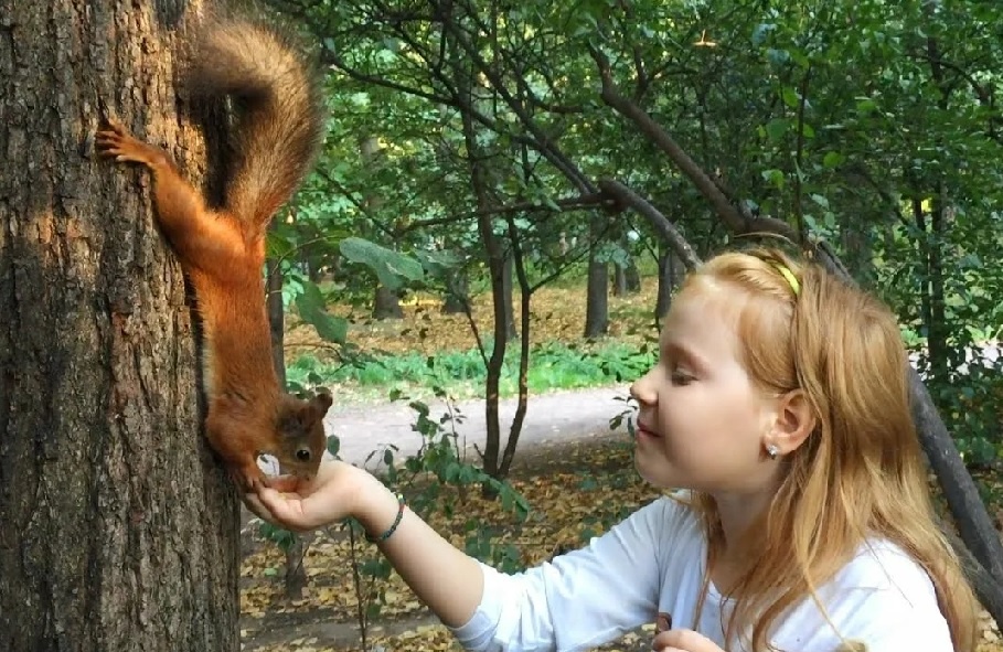девочка и белка