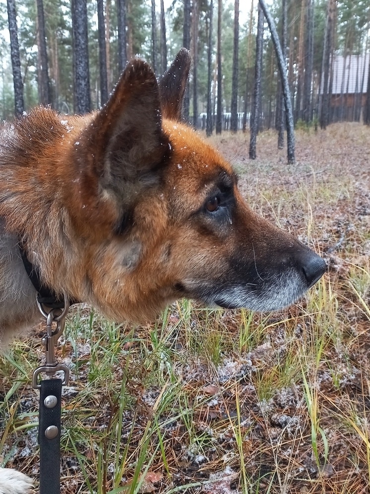     Фото: из личного архива Ирины.