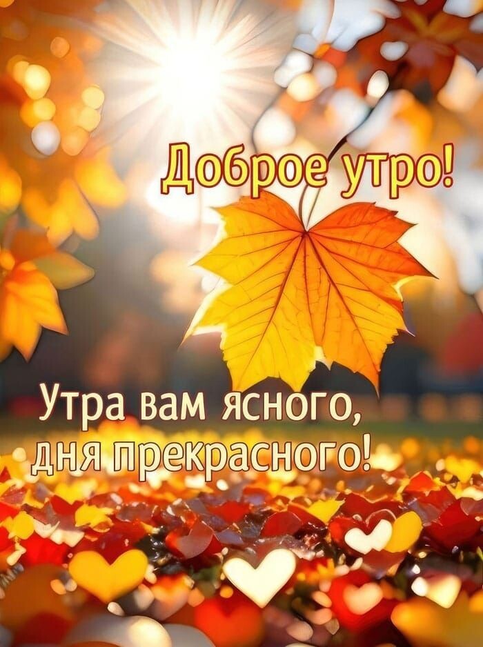 Красивой всем осени.