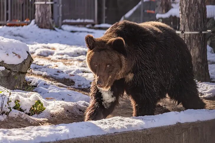    Фото Андрея Заржецкого