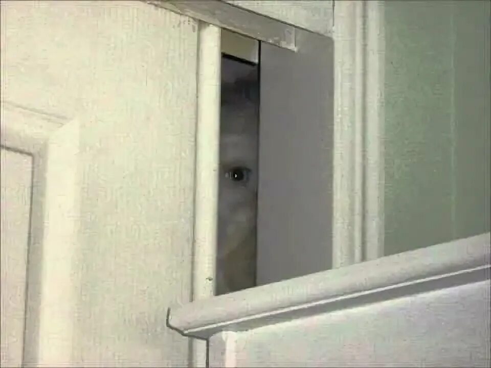 Источник: https://avatars.mds.yandex.net/i?id=3c2105dcf3a1019b77badf8c75df65d9_sr-5509039-images-thumbs&n=13