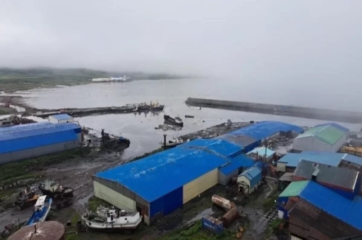    Экс-глава «Розы Хутор» продал бизнес на Сахалине группе Кожемяко