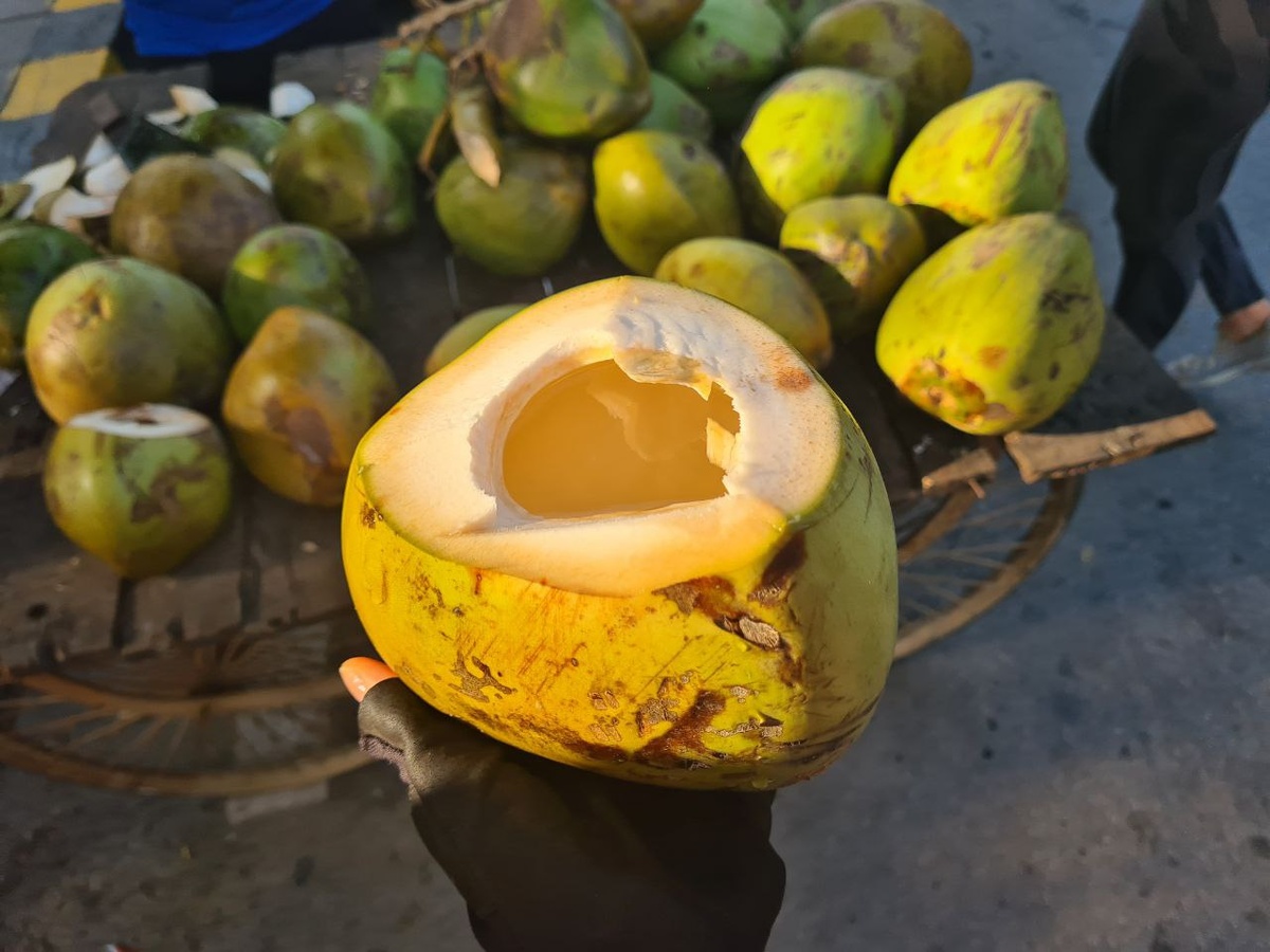 Только что открытый кокос