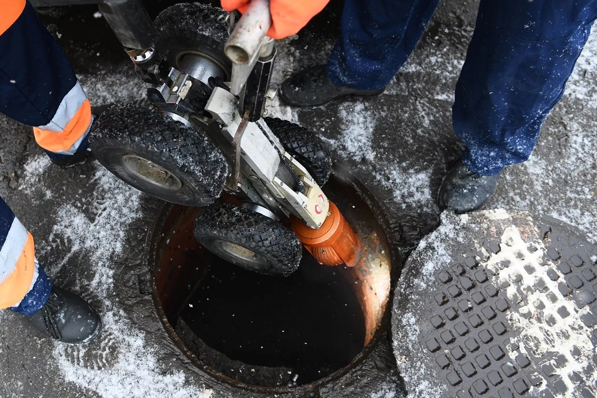    Фото: Алексей Майшев, источник РИА Новости