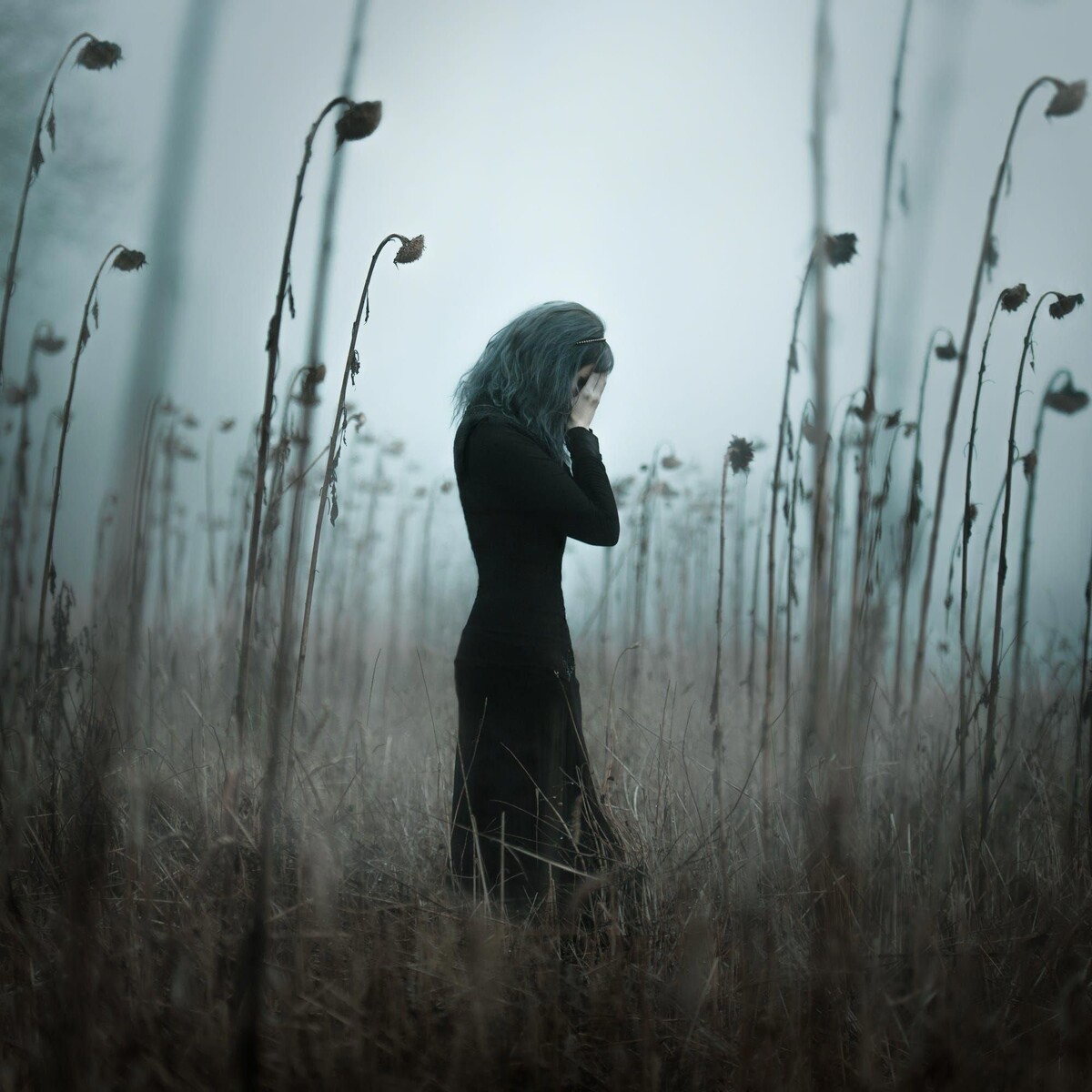 Изображение взято из открытых источников интернета. 