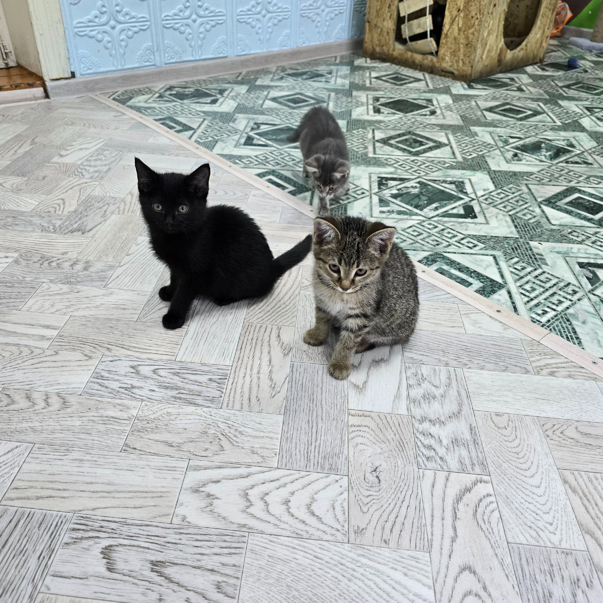 малыши играют забыв о голоде