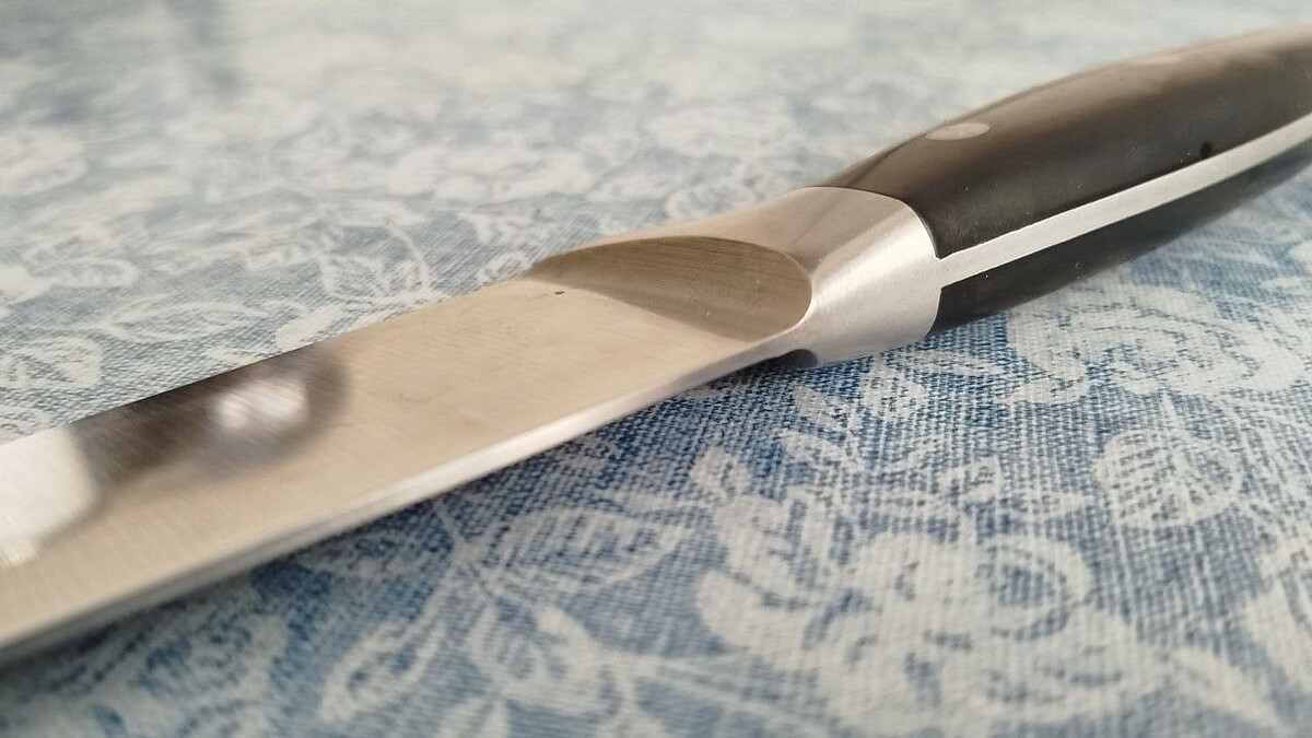    Фото: телеканал «Краснодар»