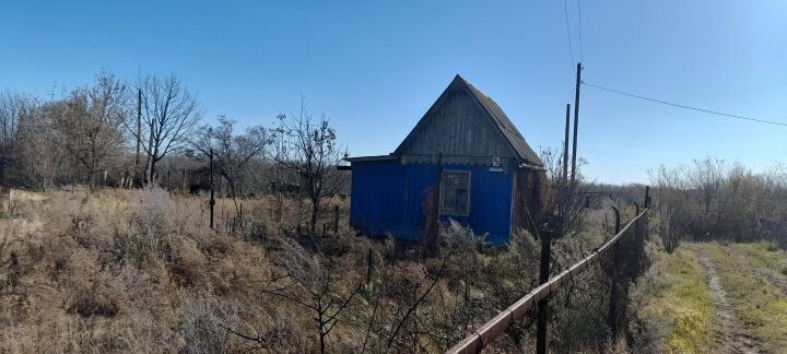    Фото:Светлана Калинина