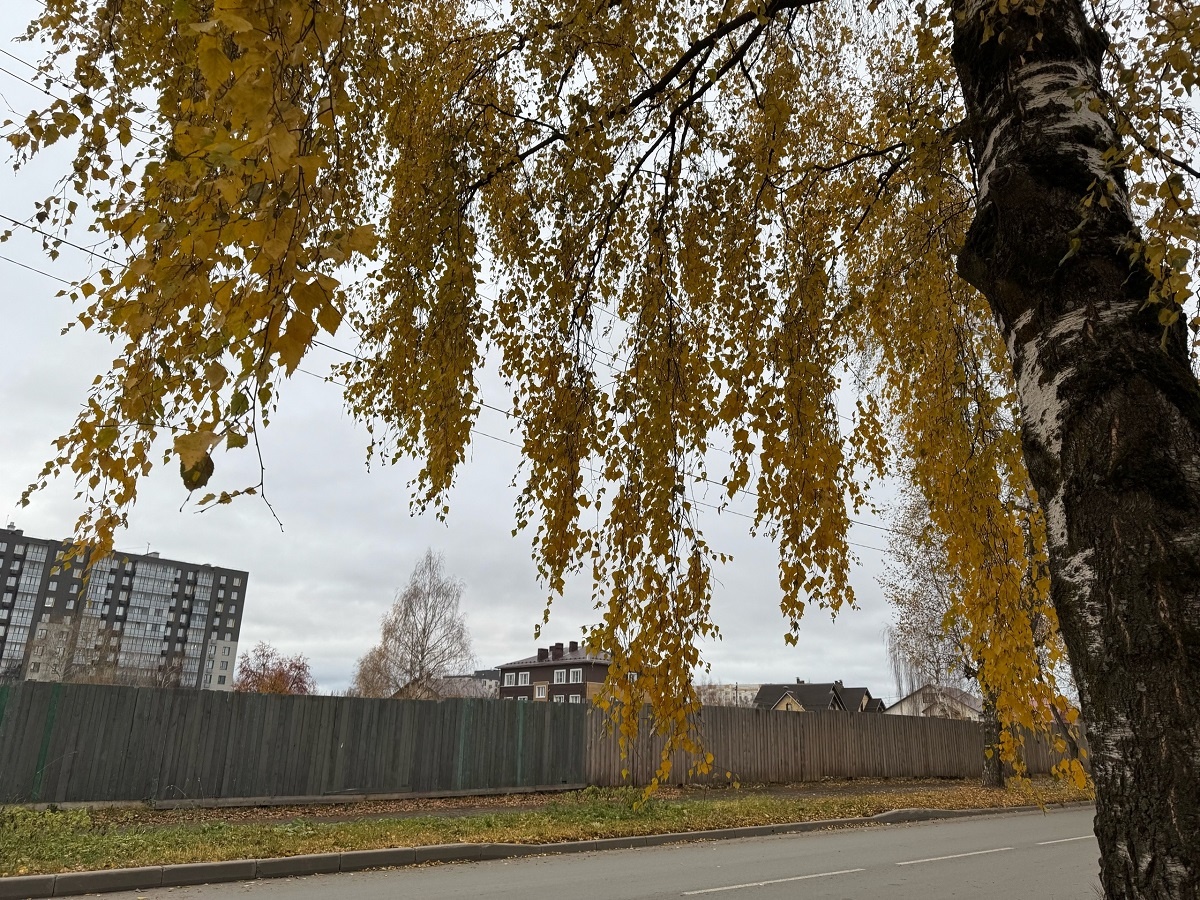    Приближается самый холодный день: Роман Вильфанд прогнозирует снег и заморозки в октябре