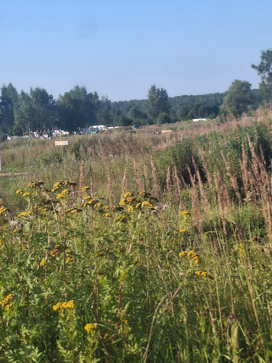 Фото автора канала